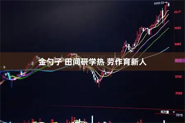 金勺子 田间研学热 劳作育新人